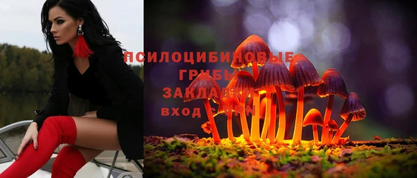 jwh Дмитровск